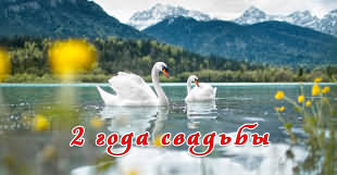 Вторая годовщина после свадьбы