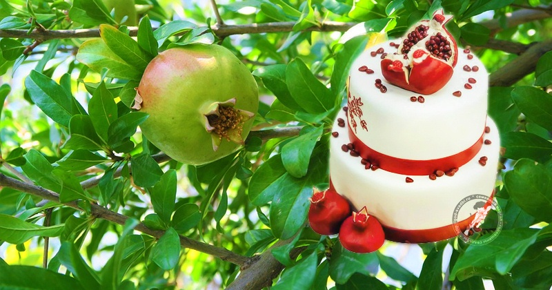 Фотография торта на 19 лет Гранатовой годовщины свадьбы