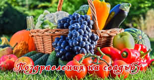 Прикольное поздравление на свадьбу с подарками