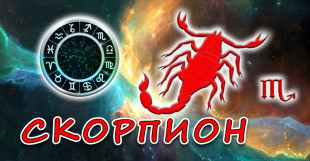 Скорпион - основные характерные черты