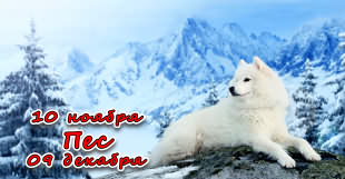 Пес - тотемный гороскоп у славян